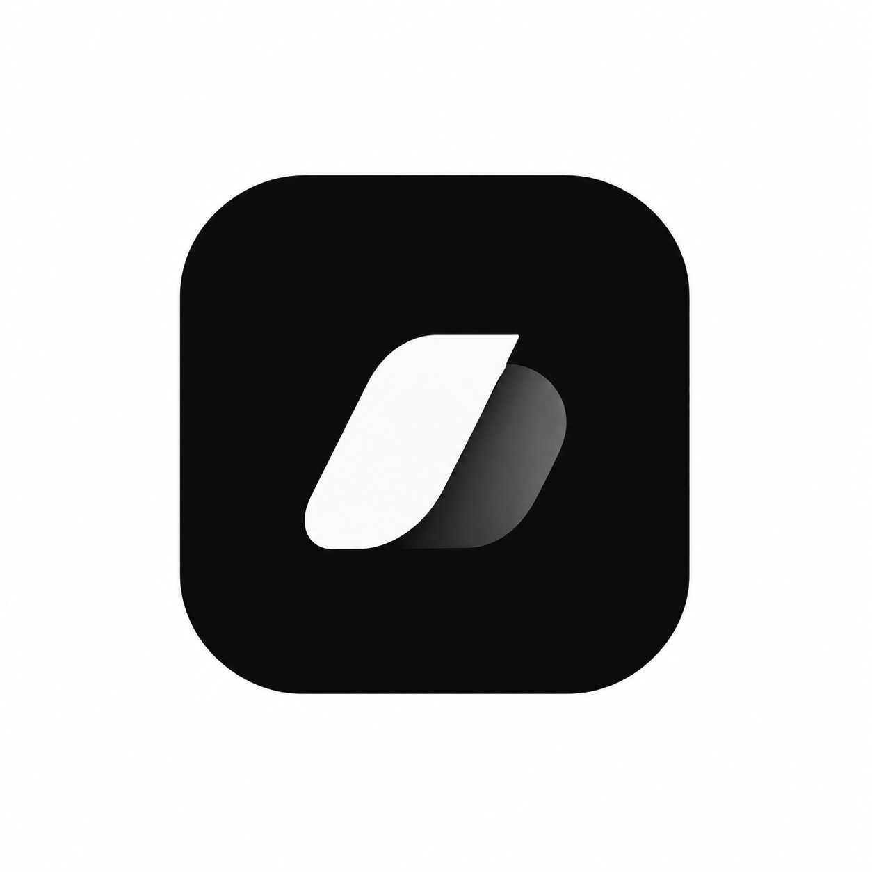 Senior Vice President Software Development
