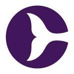 Business Development Executive